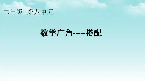 人教版二年级数学上册 8 数学广角——搭配 课件(共11张PPT)