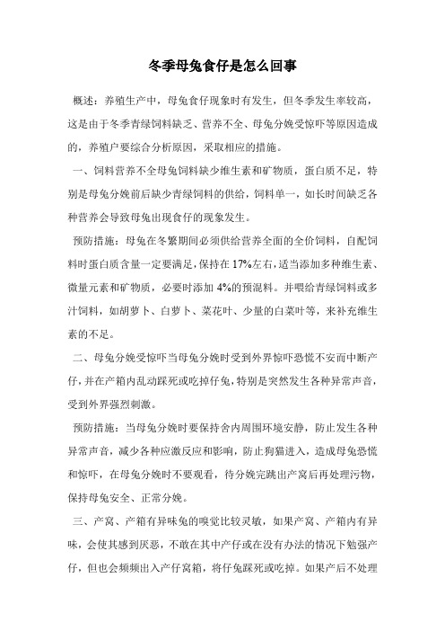 冬季母兔食仔是怎么回事.doc