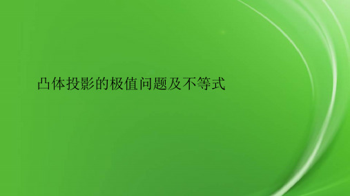 凸体投影的极值问题及不等式.pptx