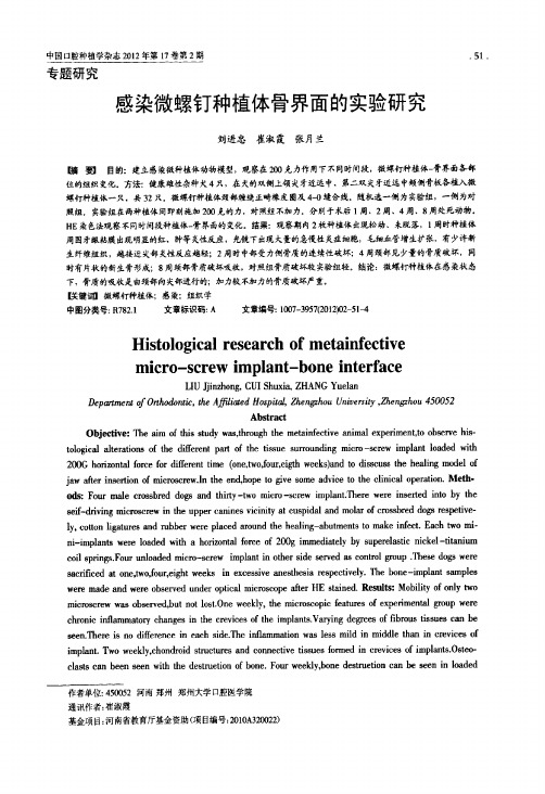 感染微螺钉种植体骨界面的实验研究