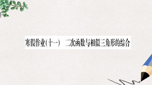 九年级数学下册 寒假作业(十一)二次函数与相似三角形的综合课堂导练课件(含2019中考真题) 新人教版