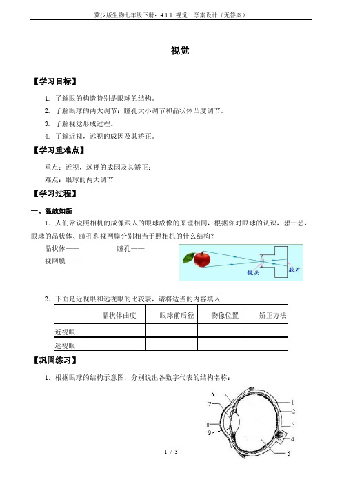 冀少版生物七年级下册：4.1.1 视觉  学案设计(无答案)