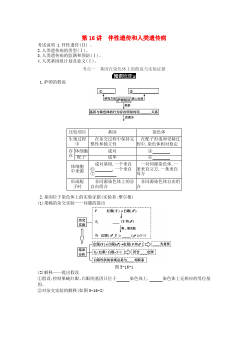 2019版高考生物一轮复习 第5单元 遗传的基本规律和遗传的细胞基础 第16讲 伴性遗传和人类遗