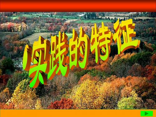 实践及其特点