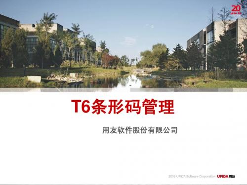 T6条码管理应用