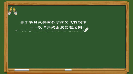 1.1创新实验基于项目式实验教学探究遗传规律高一下学期生物人教版必修2