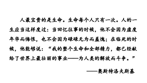 部编版语文八年级下册第六单元 名著导读 《钢铁是怎样炼成的》  摘抄和做笔记