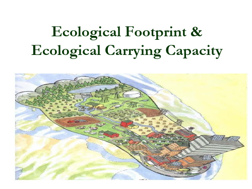 SD 3 Eco footprint