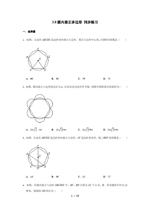 北师大版九年级下册数学 3.8圆内接正多边形 同步练习