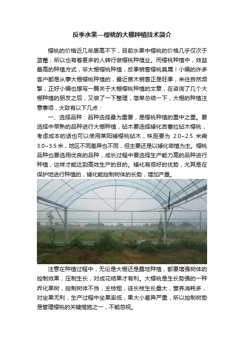 反季水果—樱桃的大棚种植技术简介