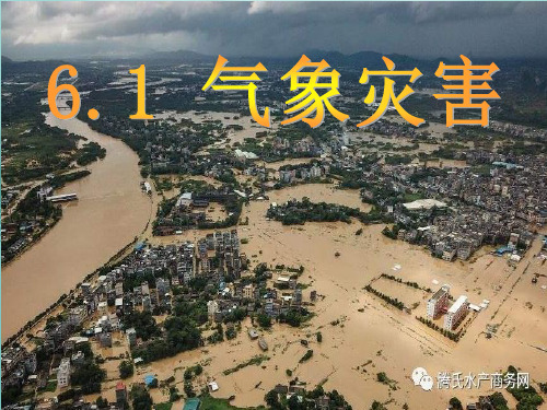 人教版新课标(2019)高中地理必修一6.1气象灾害课件(共30张ppt)(最新版推荐下载)