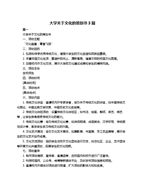 大学关于文化的策划书3篇