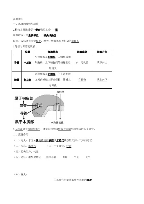 蒸腾作用知识点