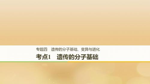 2019-2020年全国通用版高考生物二轮复习专题四遗传的分子基础变异与进化考点1遗传的分子基础讲义