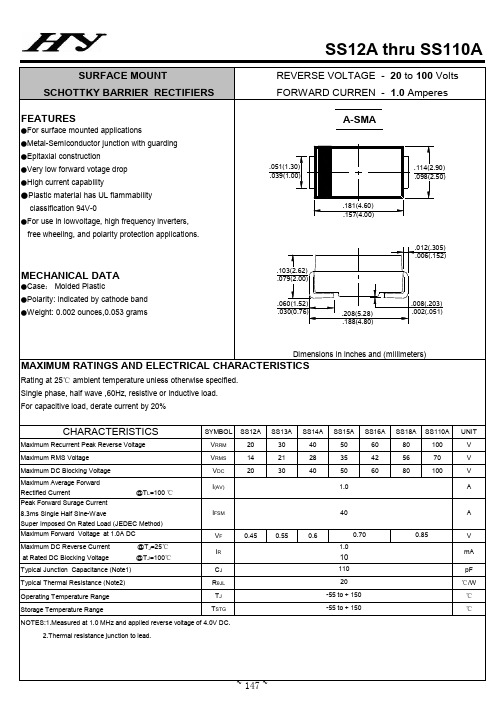 SS110A中文资料