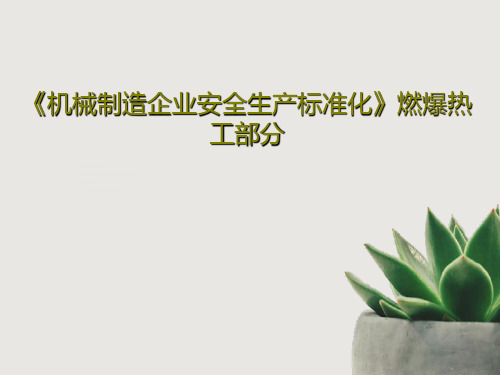 《机械制造企业安全生产标准化》燃爆热工部分共83页文档