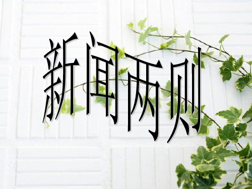 《人民解放军百万大军横渡长江》ppt课件