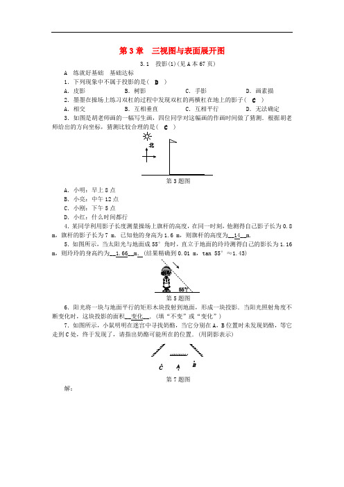 九年级数学下册 第3章 三视图与表面展开图 3.1 投影(1)练习 (新版)浙教版