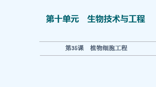 2022版新教材高考生物一轮复习第10单元生物技术与工程第35课植物细胞工程课件新人教版202106