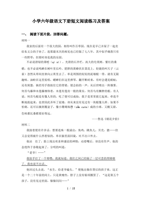 小学六年级语文下册短文阅读练习及答案