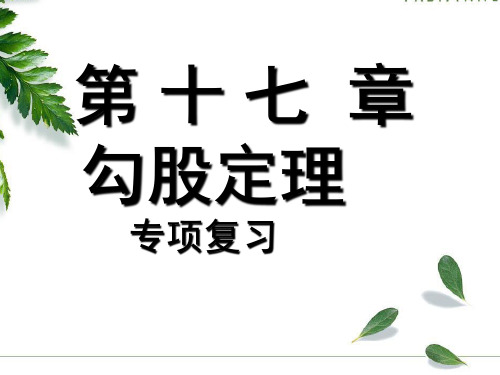 人教版八年级下册第17单勾股定理专项复习课件(21张PPT)