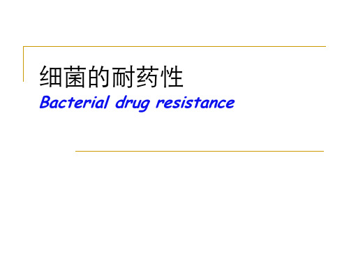 医学微生物学：细菌耐药性