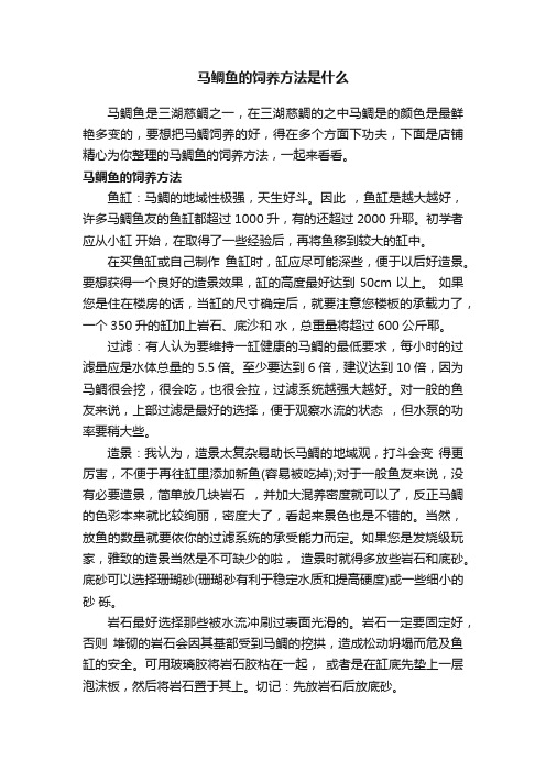 马鲷鱼的饲养方法是什么