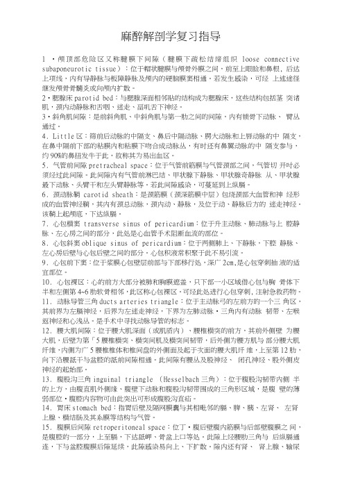 麻醉解剖学复习指导.doc