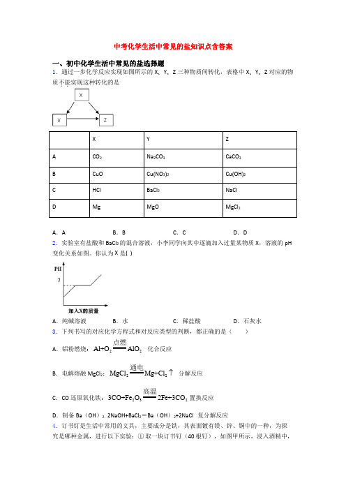 中考化学生活中常见的盐知识点含答案