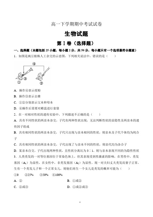 高一下学期期中考试生物试卷含答案