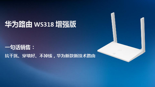 华为路由 WS318 增强版培训材料