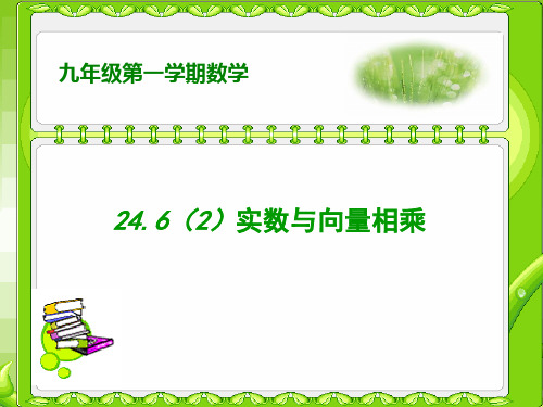 24.6(2)实数与向量相乘(二)