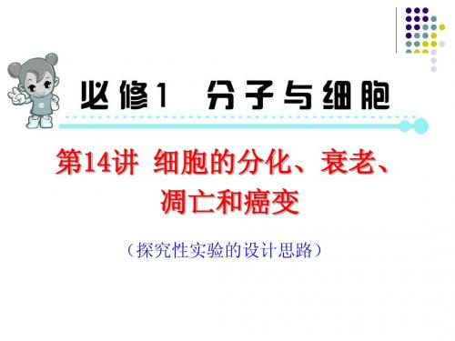 高考生物第一轮高频考点复习课件：第14讲 细胞的分化、衰老、凋亡和癌变(共60张PPT)