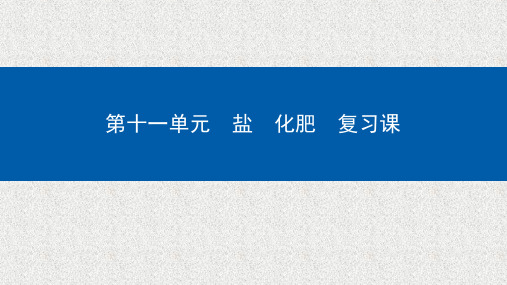 化学九下第11单元盐化肥复习课课件3