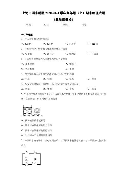 上海市浦东新区2020-2021学年九年级(上)期末物理试题(教学质量检)