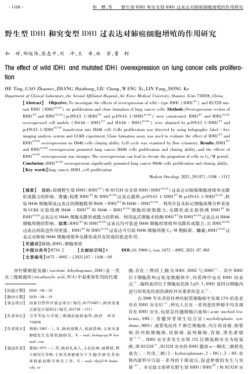 野生型IDH1和突变型IDH1过表达对肺癌细胞增殖的作用研究