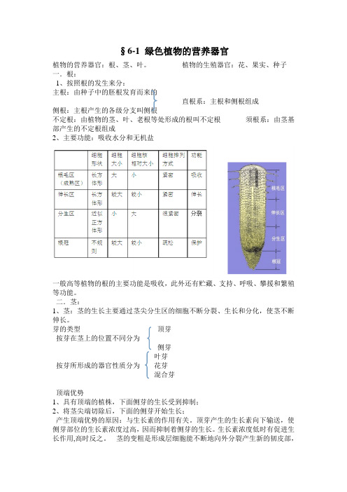 绿色植物的营养器官