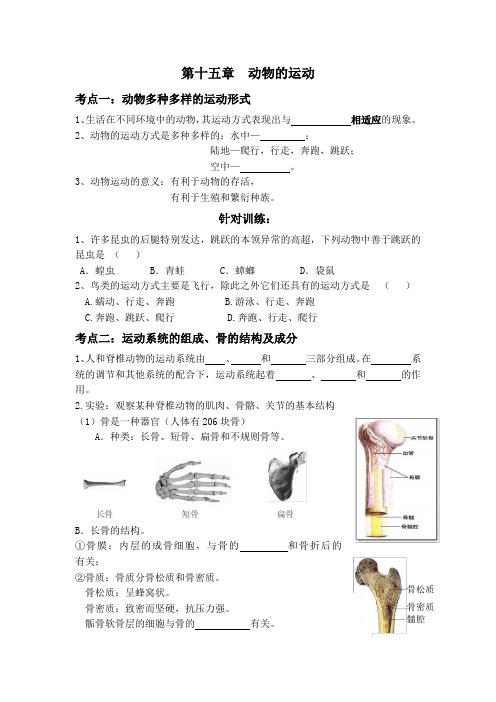 北师大版八年级上册初中生物第15章 动物的运动 导学案(无答案)