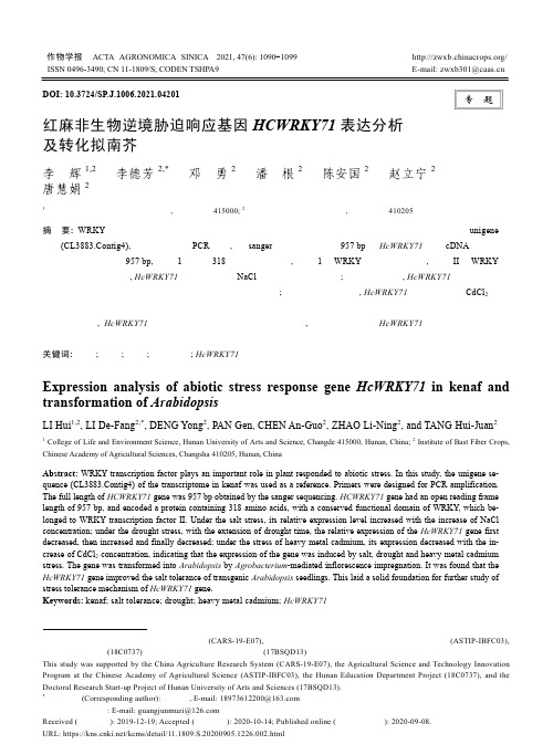 红麻非生物逆境胁迫响应基因HCWRKY71表达分析及转化拟南芥