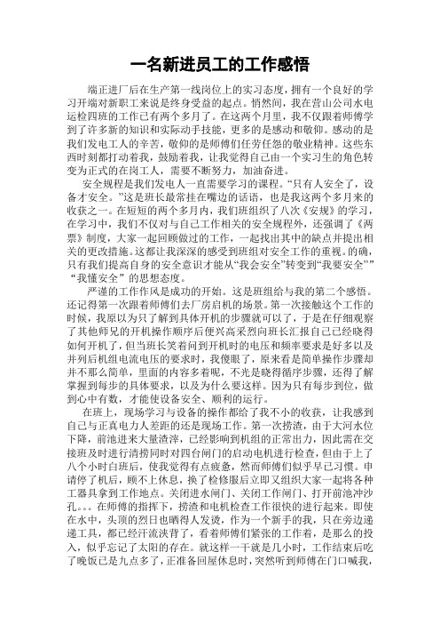 发电站新进员工的感悟