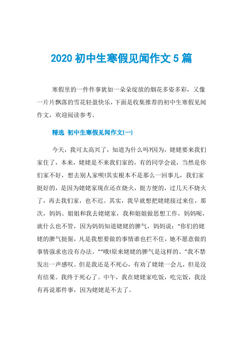 2020初中生寒假见闻作文5篇