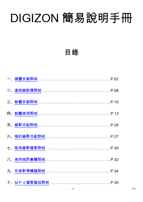 DIGIZON 简易说明手册