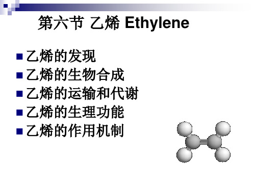 生物乙烯介绍
