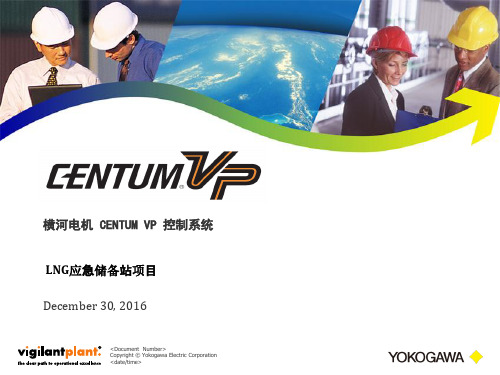 LNG应急储备站自控系统 CENTUM VP