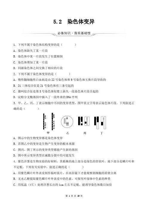 (人教版2019必修2)高一生物同步练习 5.2 染色体变异(原卷版+解析)