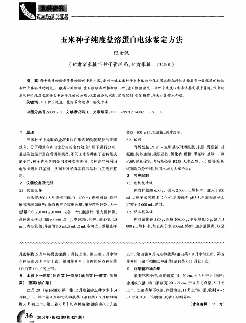 玉米种子纯度盐溶蛋白电泳鉴定方法