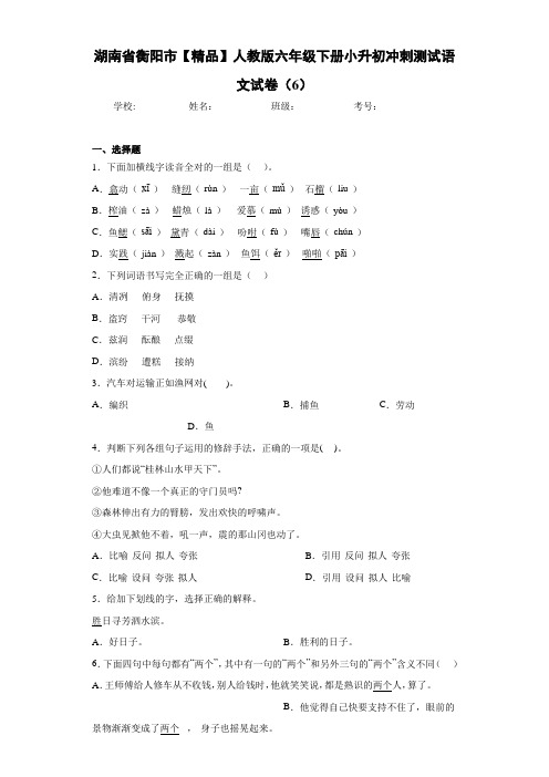 人教版六年级下册小升初冲刺测试语文试卷(6)(含答案解析)