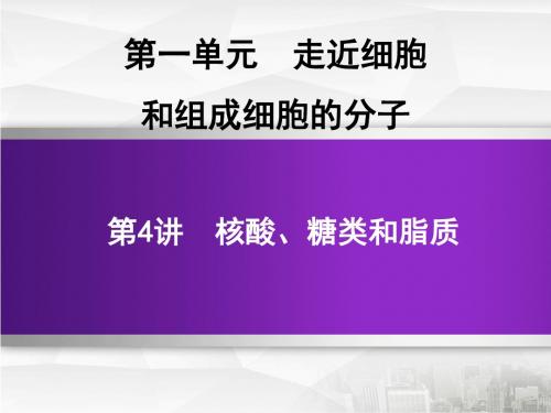 2020届高三生物第一轮复习_人教版 第一单元走近细胞和组成细胞的分子第一单元  第4讲 核酸 糖类和脂质