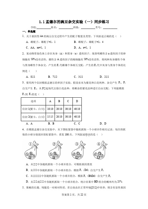 1.1孟德尔的豌豆杂交实验(一)同步练习(含解析)2023——2024学年人教版(2019)高中生物