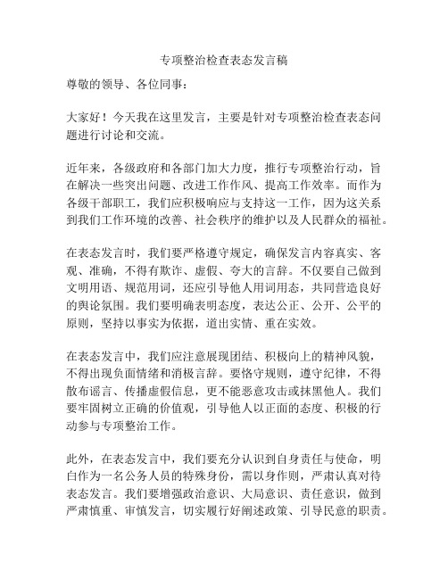 专项整治检查表态发言稿